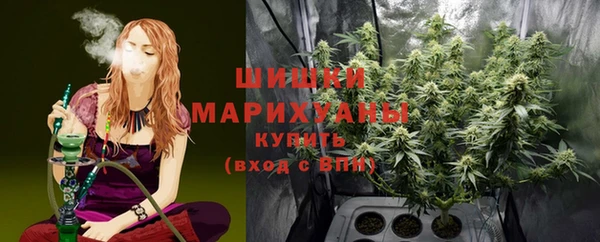 прущие крисы Белокуриха