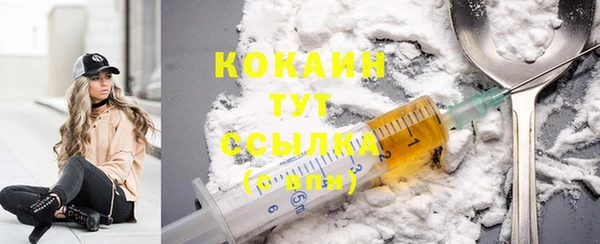 прущие крисы Белокуриха
