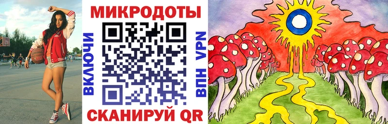 Галлюциногенные грибы Psilocybe  как найти закладки  Константиновск 